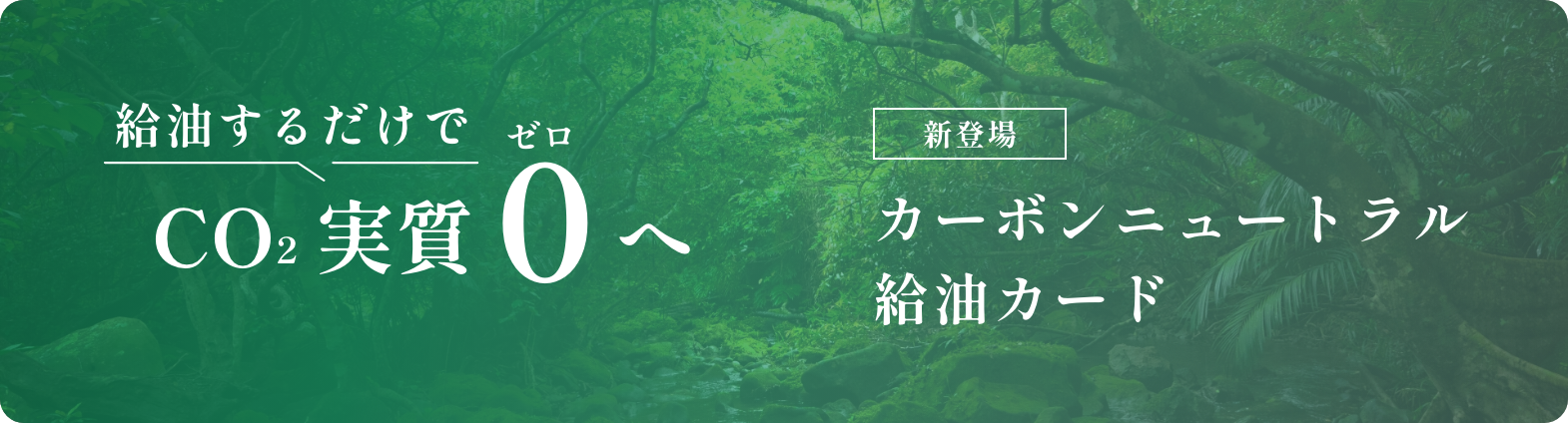 カーボンニュートラル